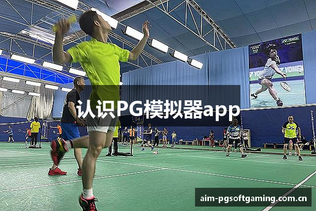 认识PG模拟器app